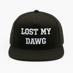 Load image into Gallery viewer, “LOST MY DAWG” Unstructured Hat- By Section